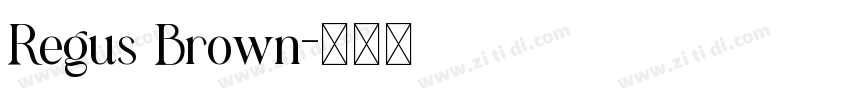 Regus Brown字体转换